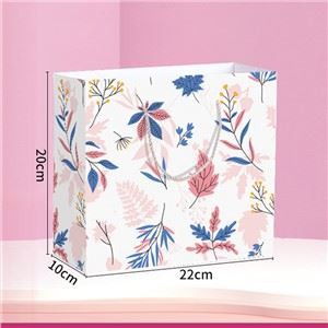 Прилагођена штампана папирна кеса за поклон